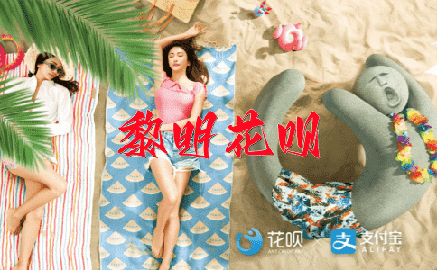 不知所云花呗